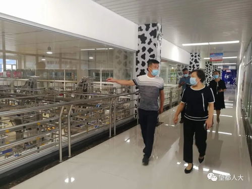 望都縣人大常委會主任劉洪潔調(diào)研綠色食品產(chǎn)業(yè)發(fā)展工作——義烏軟件開發(fā)的啟示